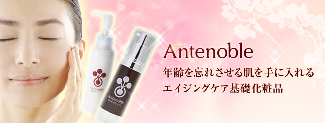 アンテノーブル